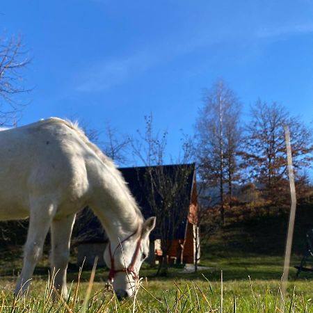 Eco Kutak Mojkovac Exterior foto
