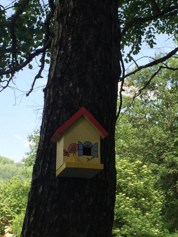 Eco Kutak Mojkovac Exterior foto